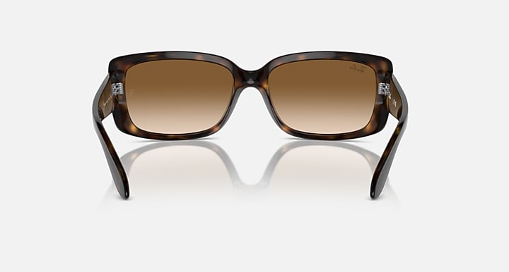 Ray-Ban RB4389 As shown with As shown lenses - Back