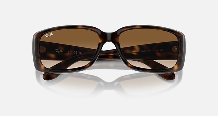 Ray-Ban RB4389 As shown with As shown lenses - Closed Front