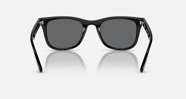 Ray-Ban RB4391D Black with Dark Grey Polarized Solid Color lenses - Back