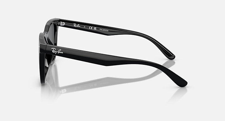 Ray-Ban RB4391D Black with Dark Grey Polarized Solid Color lenses - Lateral