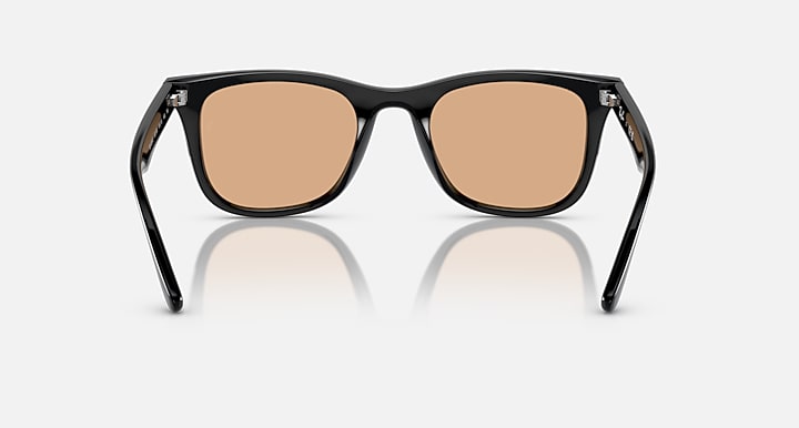 Ray-Ban RB4391D Black with Brown Solid Color lenses - Back