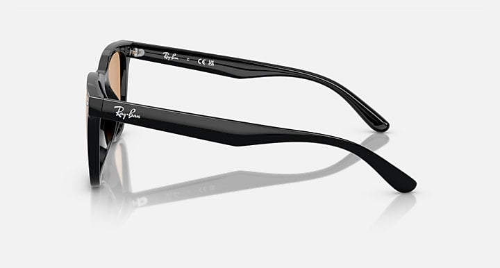 Ray-Ban RB4391D Black with Brown Solid Color lenses - Lateral
