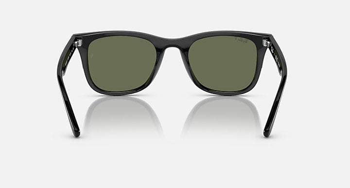 Ray-Ban RB4391D Black with Dark Green Polarized Solid Color lenses - Back