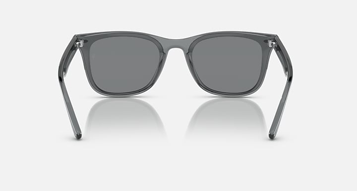 Ray-Ban RB4391D Transparent Grey with Dark Grey Solid Color lenses - Back