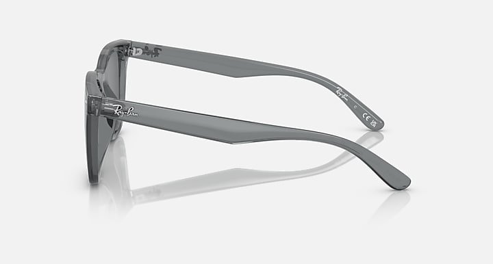 Ray-Ban RB4391D Transparent Grey with Dark Grey Solid Color lenses - Lateral