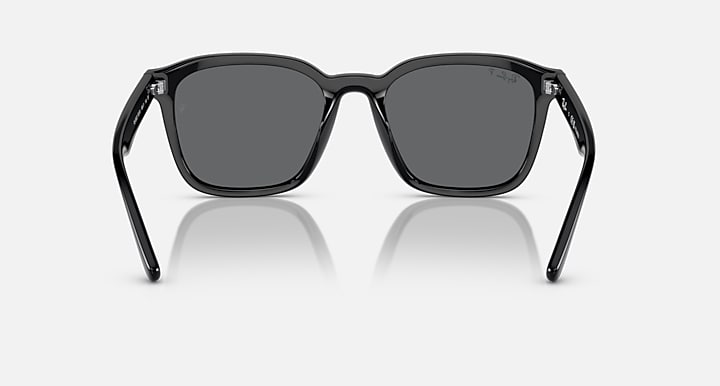 Ray-Ban RB4392D Black with Dark Grey Polarized Solid Color lenses - Back