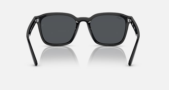 Ray-Ban RB4392D As shown with As shown lenses - Back