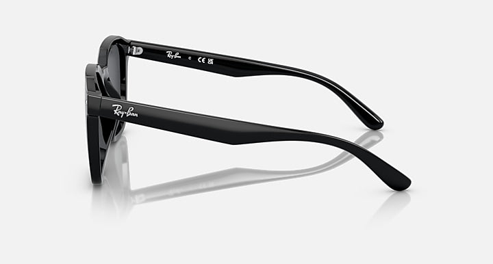 Ray-Ban RB4392D As shown with As shown lenses - Lateral