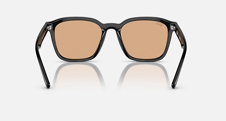 Ray-Ban RB4392D Black with Brown Solid Color lenses - Back
