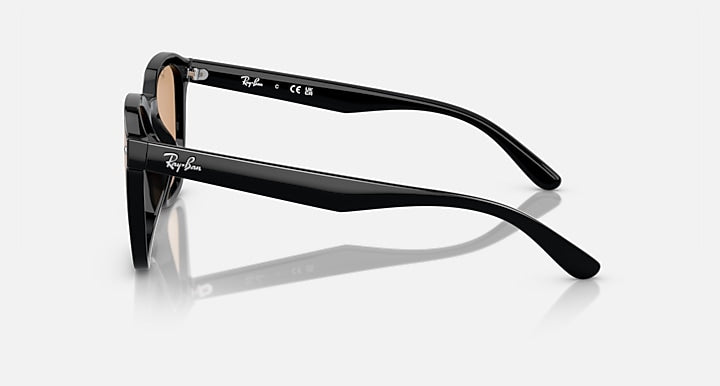 Ray-Ban RB4392D Black with Brown Solid Color lenses - Lateral