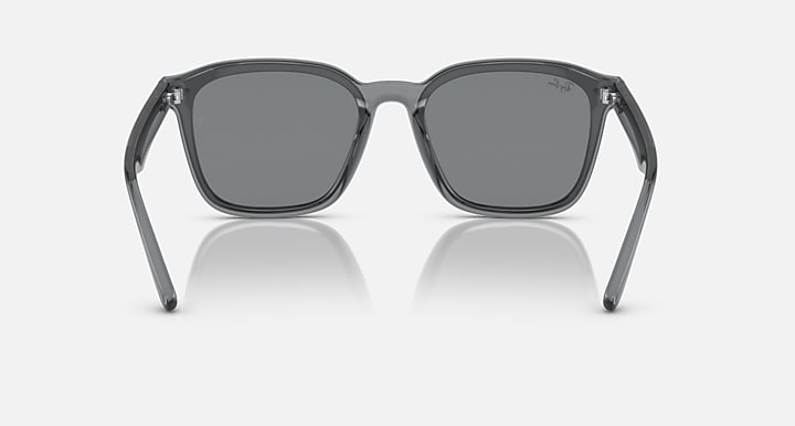 Ray-Ban RB4392D Transparent Grey with Grey Solid Color lenses - Back