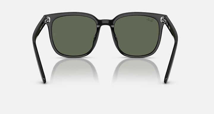 Ray-Ban RB4401D Black with Dark Green Solid Color lenses - Back