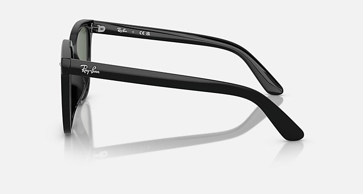Ray-Ban RB4401D Black with Dark Green Solid Color lenses - Lateral