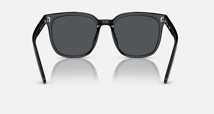 Ray-Ban RB4401D Black with Dark Grey Solid Color lenses - Back