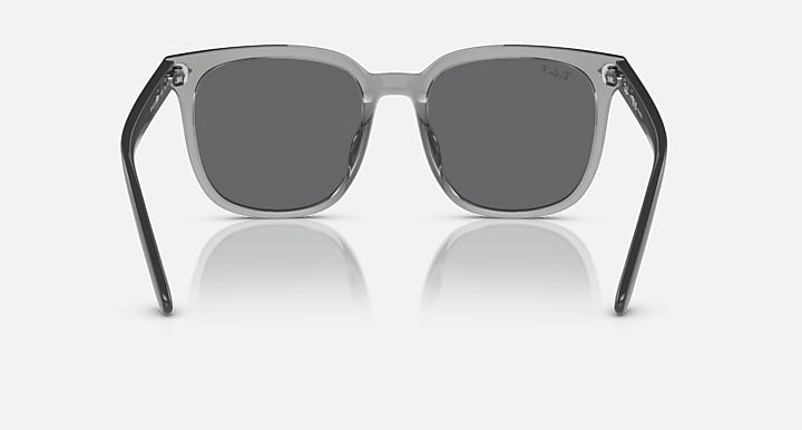 Ray-Ban RB4401D Transparent Grey; Grey with Dark Grey Polarized Solid Color lenses - Back
