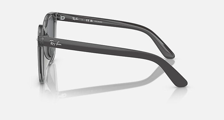 Ray-Ban RB4401D Transparent Grey; Grey with Dark Grey Polarized Solid Color lenses - Lateral