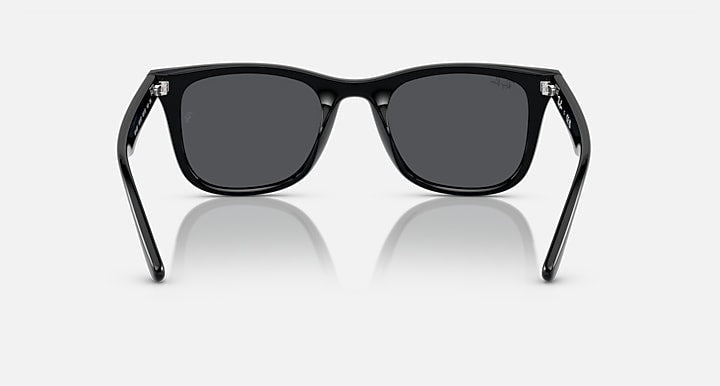 Ray-Ban RB4420 Black with Dark Grey Solid Color lenses - Back