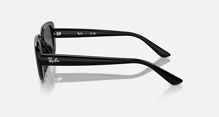 Ray-Ban RB4421D BIO-BASED Black with Dark Grey Solid Color lenses - Lateral