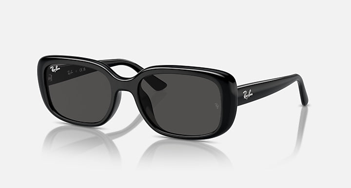 Ray-Ban RB4421D BIO-BASED Black with Dark Grey Solid Color lenses - Quarter