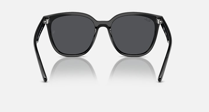 Ray-Ban RB4423D Black with Dark Grey Solid Color lenses - Back