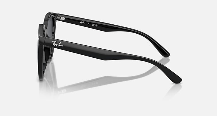 Ray-Ban RB4423D Black with Dark Grey Solid Color lenses - Lateral
