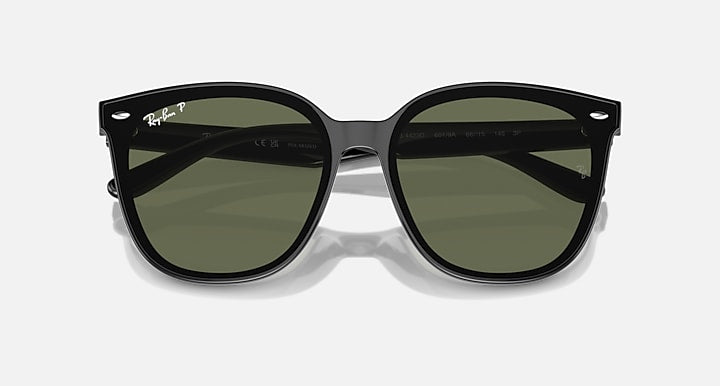 Ray-Ban RB4423D Black with Dark Green Polarized Solid Color lenses - Closed Front