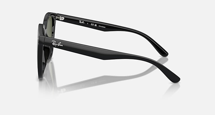 Ray-Ban RB4423D Black with Dark Green Polarized Solid Color lenses - Lateral