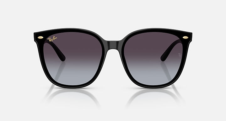 Ray-Ban RB4423D YEAR OF THE SNAKE EDITION Black with Grey Gradient Gradient lenses - Front