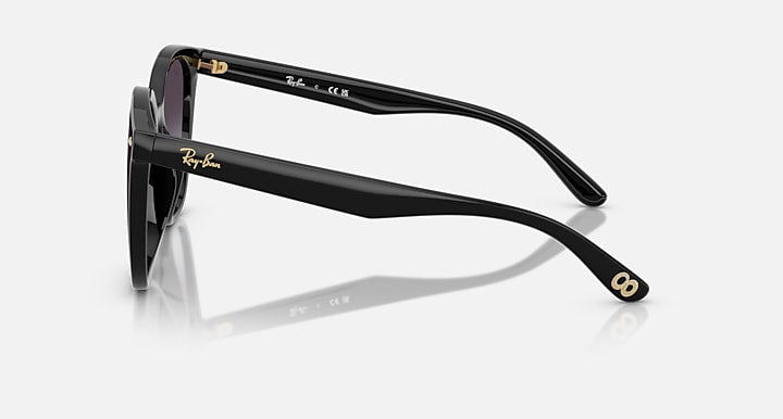 Ray-Ban RB4423D YEAR OF THE SNAKE EDITION Black with Grey Gradient Gradient lenses - Lateral