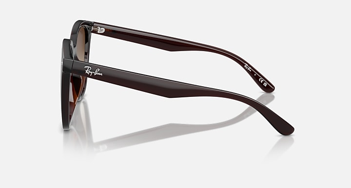Ray-Ban RB4423D Transparent Brown with Brown Gradient lenses - Lateral
