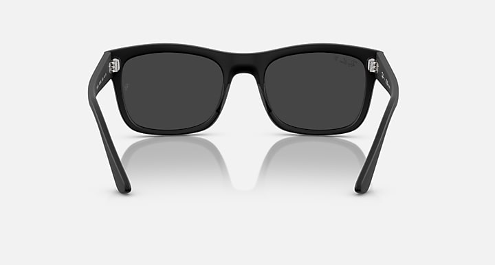 Ray-Ban RB4428 Black with Black Polarized Solid Color lenses - Back