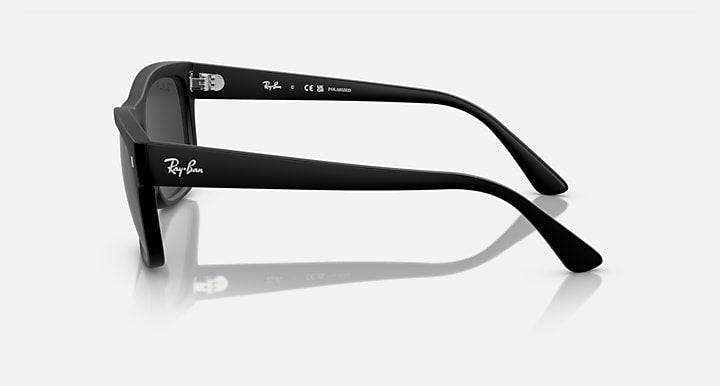 Ray-Ban RB4428 Black with Black Polarized Solid Color lenses - Lateral