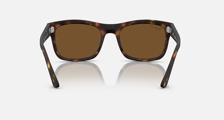Ray-Ban RB4428 Havana with Brown Polarized Solid Color lenses - Back
