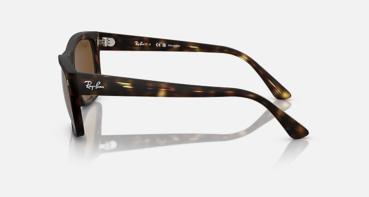 Ray-Ban RB4428 Havana with Brown Polarized Solid Color lenses - Lateral