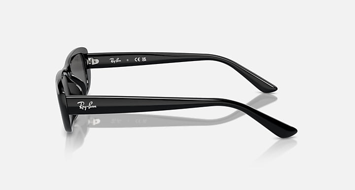 Ray-Ban RB4436D BIO-BASED Black with Dark Grey Solid Color lenses - Lateral