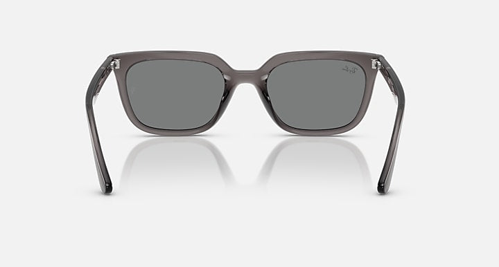 Ray-Ban RB4439D Transparent Grey with Dark Grey Solid Color lenses - Back