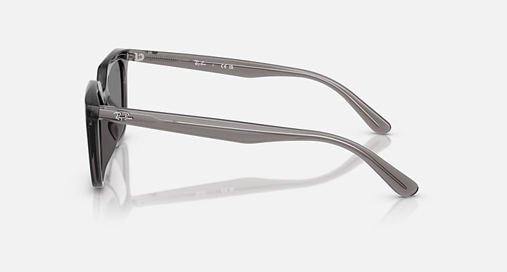 Ray-Ban RB4439D Transparent Grey with Dark Grey Solid Color lenses - Lateral
