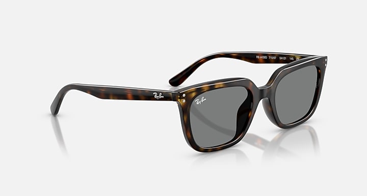 Ray-Ban RB4439D Havana with Dark Grey Solid Color lenses - Alternative