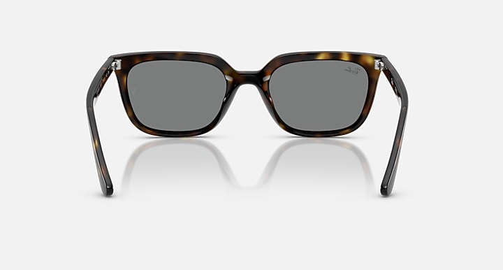 Ray-Ban RB4439D Havana with Dark Grey Solid Color lenses - Back