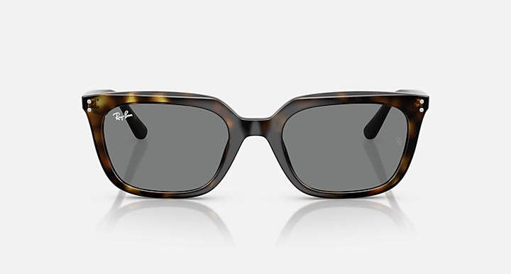 Ray-Ban RB4439D Havana with Dark Grey Solid Color lenses - Front