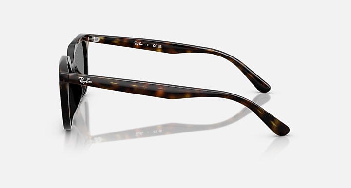 Ray-Ban RB4439D Havana with Dark Grey Solid Color lenses - Lateral