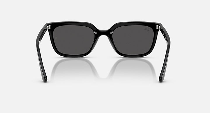 Ray-Ban RB4439D Black with Dark Grey Solid Color lenses - Back