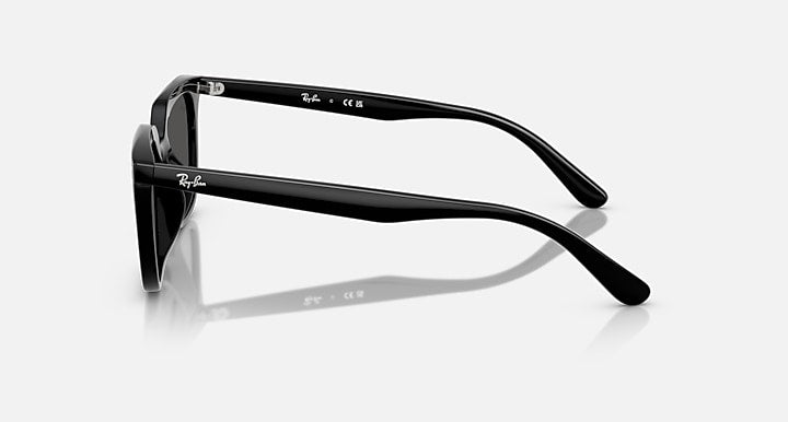Ray-Ban RB4439D Black with Dark Grey Solid Color lenses - Lateral
