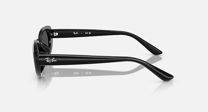 Ray-Ban RB4441D BIO-BASED Black with Dark Grey Solid Color lenses - Lateral