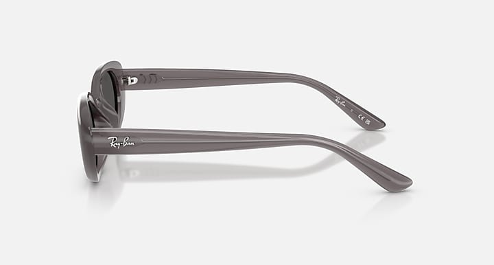 Ray-Ban RB4441D BIO-BASED Transparent Dark Grey with Dark Grey Solid Color lenses - Lateral