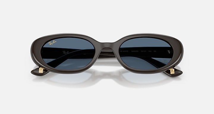 Ray-Ban RB4441D YEAR OF THE HORSE EDITION Full Dark Brown with Dark Blue Solid Color lenses - Closed Front