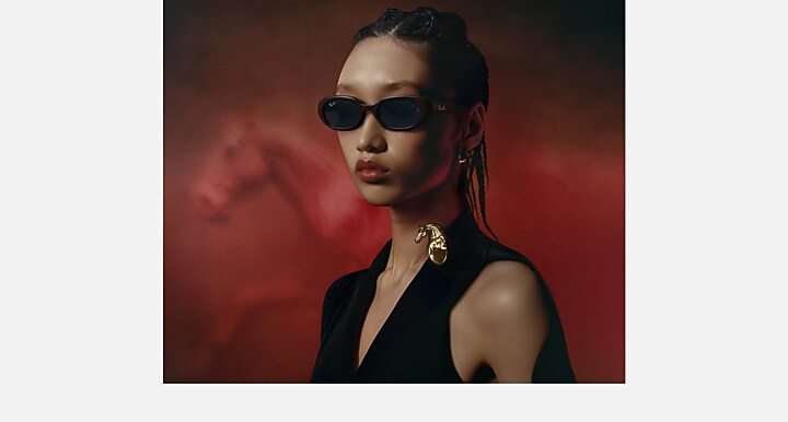 Ray-Ban RB4441D YEAR OF THE HORSE EDITION Full Dark Brown with Dark Blue Solid Color lenses - On model