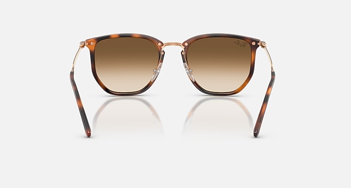 Ray-Ban RB4451 Transparent Orange; Rosegold with Clear Gradient Brown Gradient lenses - Back