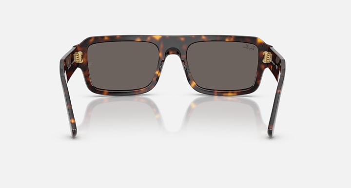 Ray-Ban FLACKO BIO-BASED Havana with Dark Grey Solid Color lenses - Back