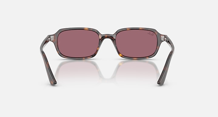 Ray-Ban ZURI BIO-BASED LIMITED Havana with Violet Solid Color lenses - Back